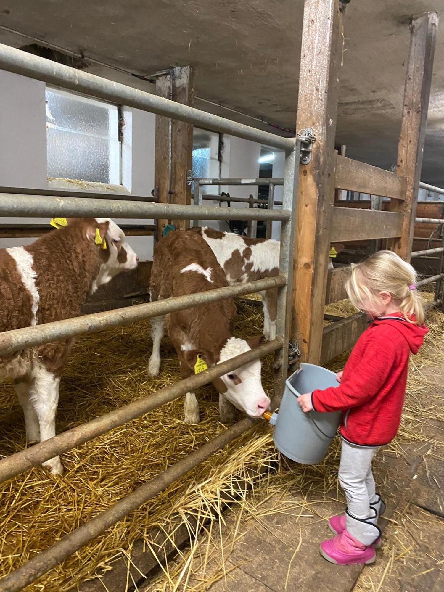 Ferienwohnung Bauernhof Helpferer Ramsau am Dachstein Exterior foto