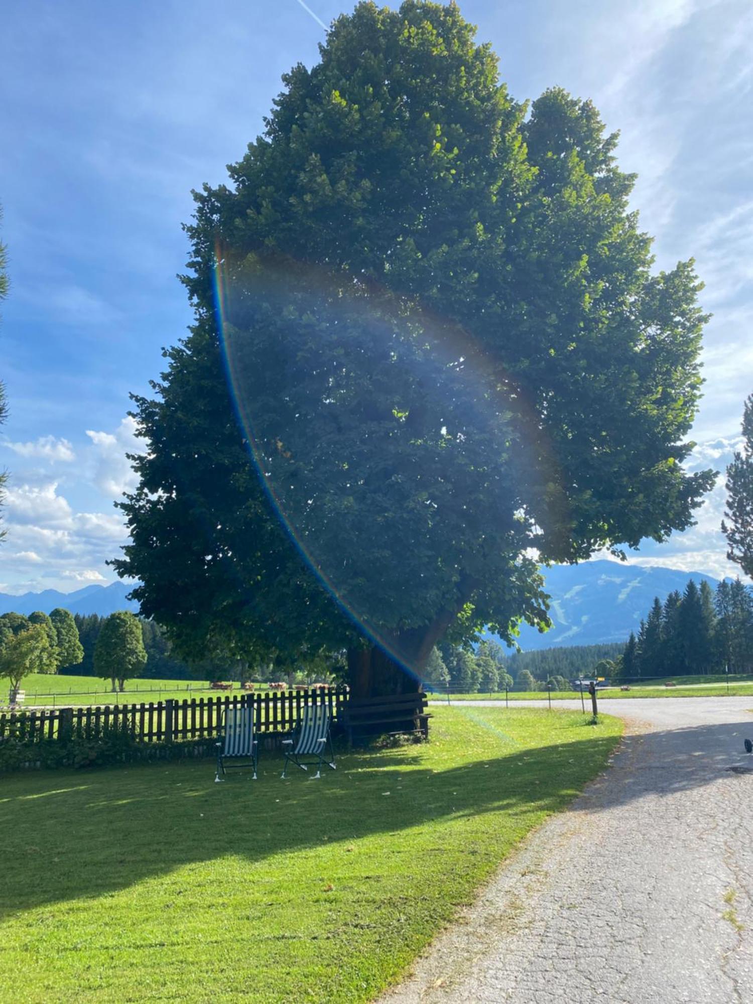 Ferienwohnung Bauernhof Helpferer Ramsau am Dachstein Exterior foto