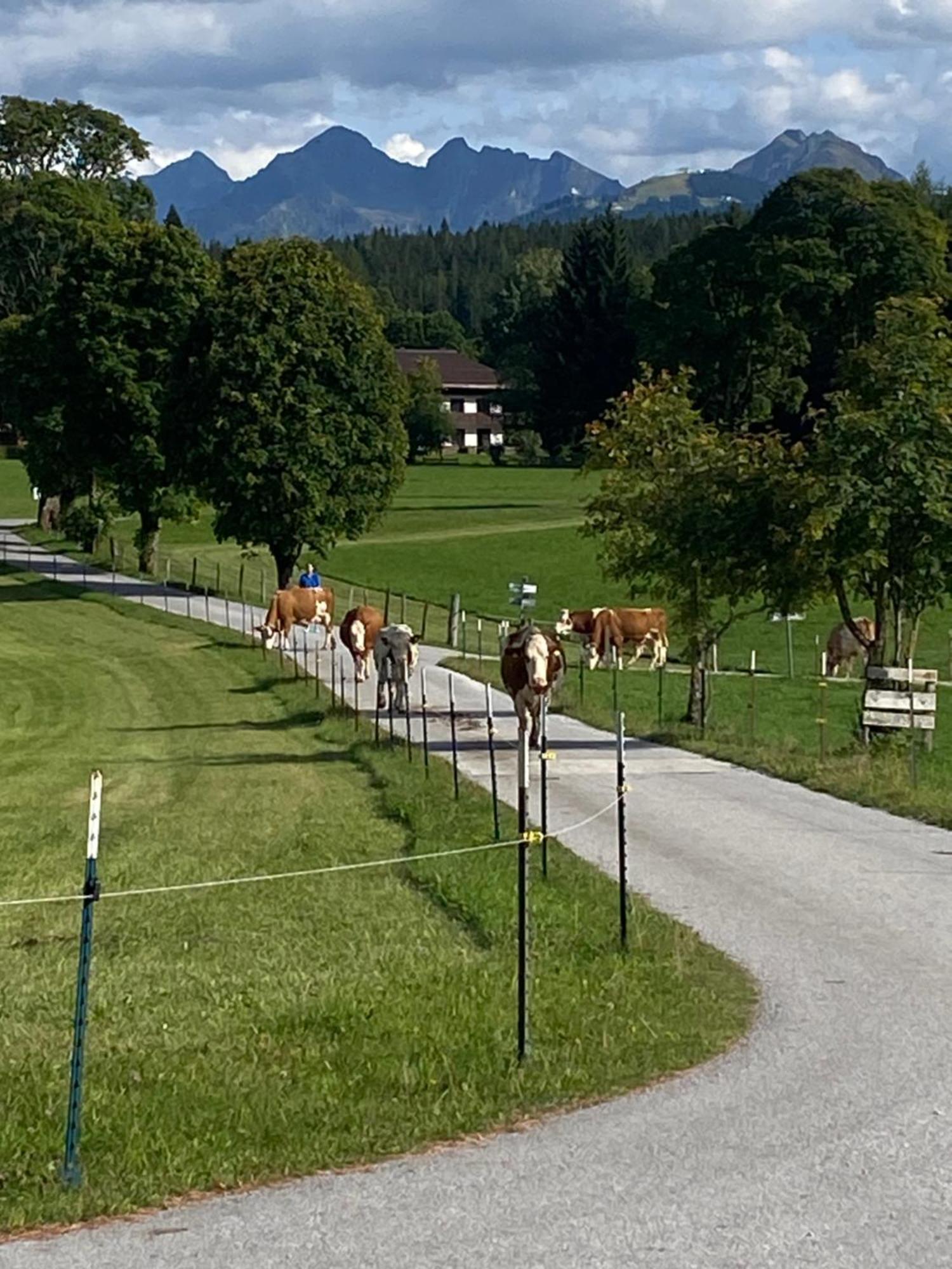 Ferienwohnung Bauernhof Helpferer Ramsau am Dachstein Exterior foto